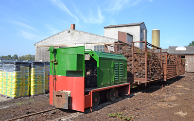 Torfwerk Warmsen 4