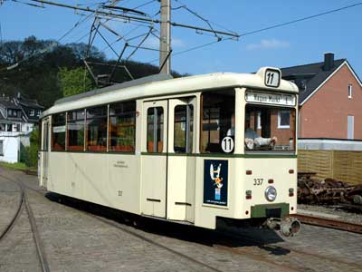 Hagen 337