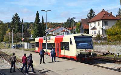 HzL 206