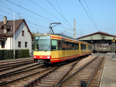 561