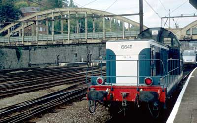 66411